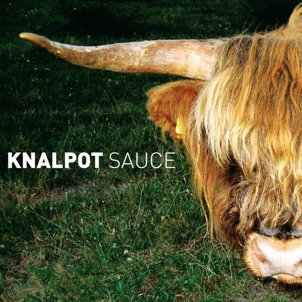 knalpot sauce cover